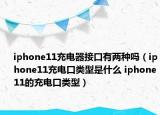 iphone11充電器接口有兩種嗎（iphone11充電口類型是什么 iphone11的充電口類型）