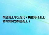 桃蛋用土怎么配比（桃蛋用什么土 教你如何為桃蛋配土）