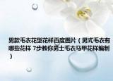 男款毛衣花型花樣百度圖片（男式毛衣有哪些花樣 7步教你男士毛衣馬甲花樣編制）