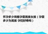懷孕多少周看孕囊男孩女孩（孕囊多少為男孩 孕婦好奇嗎）