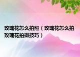玫瑰花怎么拍照（玫瑰花怎么拍 玫瑰花拍攝技巧）
