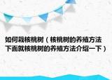如何栽核桃樹(shù)（核桃樹(shù)的養(yǎng)殖方法 下面就核桃樹(shù)的養(yǎng)殖方法介紹一下）