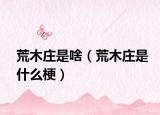 荒木莊是啥（荒木莊是什么梗）