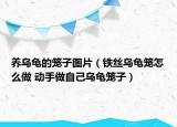 養(yǎng)烏龜?shù)幕\子圖片（鐵絲烏龜籠怎么做 動手做自己烏龜籠子）