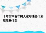 十年樹(shù)木百年樹(shù)人這句話是什么意思是什么