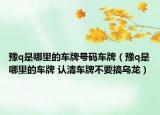豫q是哪里的車牌號(hào)碼車牌（豫q是哪里的車牌 認(rèn)清車牌不要搞烏龍）