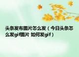 頭條發(fā)布圖片怎么發(fā)（今日頭條怎么發(fā)gif圖片 如何發(fā)gif）