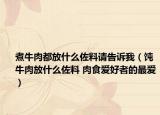 煮牛肉都放什么佐料請(qǐng)告訴我（飩牛肉放什么佐料 肉食愛好者的最愛）