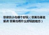 菲律賓小島哪個好玩（菲英島著名景點 菲英島有什么好玩的地方）