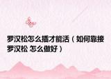 羅漢松怎么插才能活（如何靠接羅漢松 怎么做好）