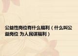 公益性崗位有什么福利（什么叫公益崗位 為人民謀福利）
