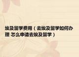 埃及留學費用（去埃及留學如何辦理 怎么申請去埃及留學）