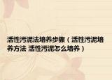活性污泥法培養(yǎng)步驟（活性污泥培養(yǎng)方法 活性污泥怎么培養(yǎng)）