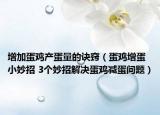 增加蛋雞產(chǎn)蛋量的訣竅（蛋雞增蛋小妙招 3個(gè)妙招解決蛋雞減蛋問題）