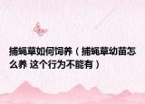 捕蠅草如何飼養(yǎng)（捕蠅草幼苗怎么養(yǎng) 這個(gè)行為不能有）