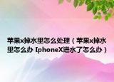 蘋果x掉水里怎么處理（蘋果x掉水里怎么辦 IphoneX進(jìn)水了怎么辦）