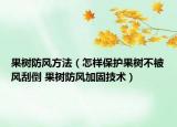 果樹防風(fēng)方法（怎樣保護(hù)果樹不被風(fēng)刮倒 果樹防風(fēng)加固技術(shù)）