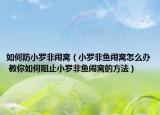 如何防小羅非鬧窩（小羅非魚鬧窩怎么辦 教你如何阻止小羅非魚鬧窩的方法）