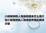 小規(guī)模納稅人增值稅報表怎么填介紹小規(guī)模納稅人增值稅申報的具體步驟