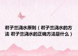 君子蘭澆水原則（君子蘭澆水的方法 君子蘭澆水的正確方法是什么）