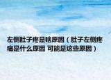 左側(cè)肚子疼是啥原因（肚子左側(cè)疼痛是什么原因 可能是這些原因）