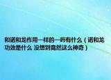 和諾和龍作用一樣的一藥有什么（諾和龍功效是什么 沒想到竟然這么神奇）