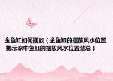 金魚缸如何擺放（金魚缸的擺放風(fēng)水位置 揭示家中魚缸的擺放風(fēng)水位置禁忌）