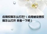 應(yīng)用權(quán)限怎么打開?（應(yīng)用被設(shè)置權(quán)限怎么打開 來看一下吧）