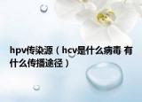 hpv傳染源（hcv是什么病毒 有什么傳播途徑）