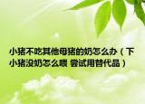 小豬不吃其他母豬的奶怎么辦（下小豬沒奶怎么喂 嘗試用替代品）