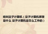 啥叫量子計算機（量子計算機原理是什么 量子計算機是怎么工作的）