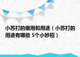 小蘇打的做用和用途（小蘇打的用途有哪些 5個(gè)小妙招）