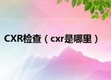 CXR檢查（cxr是哪里）