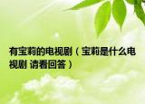 有寶莉的電視劇（寶莉是什么電視劇 請看回答）