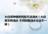 大白菜種植時間和方法澆水（大白菜怎樣澆水 不同時期澆水方法不一樣）