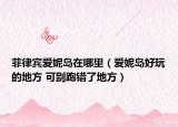 菲律賓愛(ài)妮島在哪里（愛(ài)妮島好玩的地方 可別跑錯(cuò)了地方）