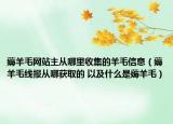 薅羊毛網站主從哪里收集的羊毛信息（薅羊毛線報從哪獲取的 以及什么是薅羊毛）