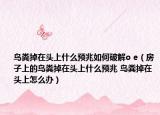 鳥糞掉在頭上什么預(yù)兆如何破解o e（房子上的鳥糞掉在頭上什么預(yù)兆 鳥糞掉在頭上怎么辦）