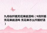 九月份扦插無花果能活嗎（9月扦插無花果能活嗎 無花果怎么扦插好活）