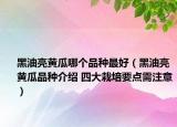 黑油亮黃瓜哪個品種最好（黑油亮黃瓜品種介紹 四大栽培要點需注意）