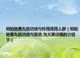 知柏地黃丸的功效與作用適用人群（知柏地黃丸的功效與禁忌 為大家詳細(xì)的介紹下）