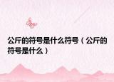 公斤的符號是什么符號（公斤的符號是什么）