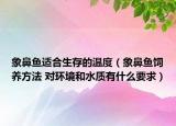 象鼻魚適合生存的溫度（象鼻魚飼養(yǎng)方法 對環(huán)境和水質(zhì)有什么要求）
