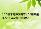 15.5厘米是多少英寸（15厘米是多少寸 以及英寸的簡介）