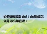 如何鑲嵌徽章 dnf（dnf徽章怎么用 怎么鑲嵌呢）