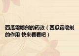 西瓜霜噴劑的藥效（西瓜霜噴劑的作用 快來看看吧）