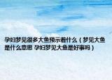 孕婦夢見很多大魚預(yù)示著什么（夢見大魚是什么意思 孕婦夢見大魚是好事嗎）