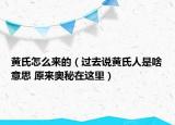 黃氏怎么來(lái)的（過(guò)去說(shuō)黃氏人是啥意思 原來(lái)奧秘在這里）