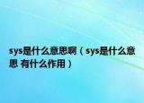 sys是什么意思?。╯ys是什么意思 有什么作用）