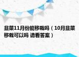 韭菜11月份能移栽嗎（10月韭菜移栽可以嗎 請看答案）